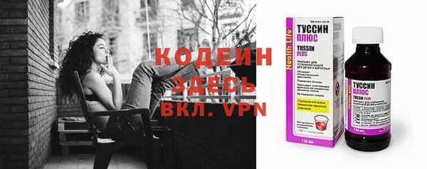 индика Корсаков
