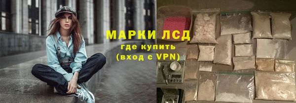 гидра Гусиноозёрск