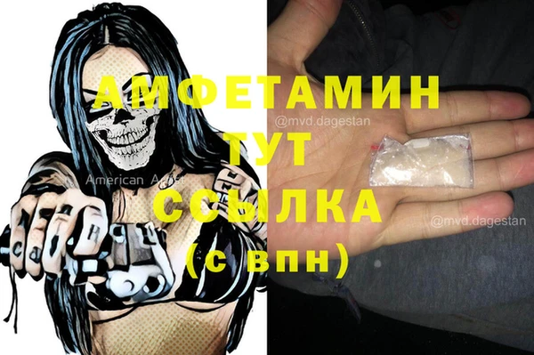 гидра Гусиноозёрск