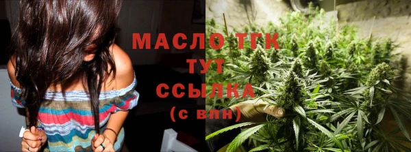 гидра Гусиноозёрск