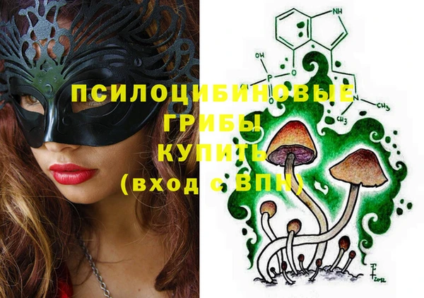 гидра Гусиноозёрск