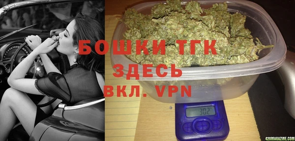 дживик Гусев