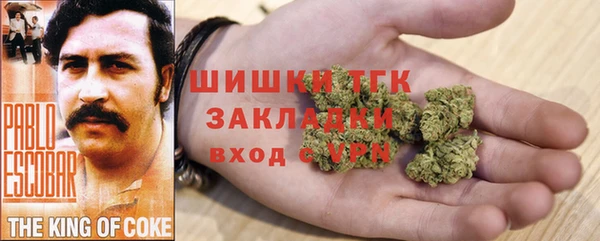 гидра Гусиноозёрск