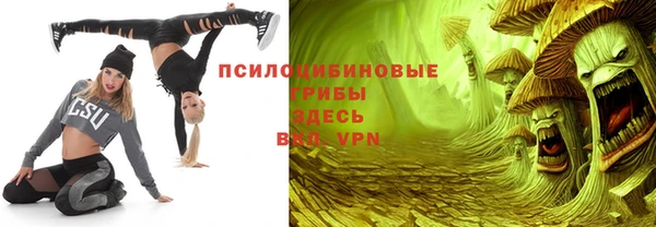 дживик Гусев